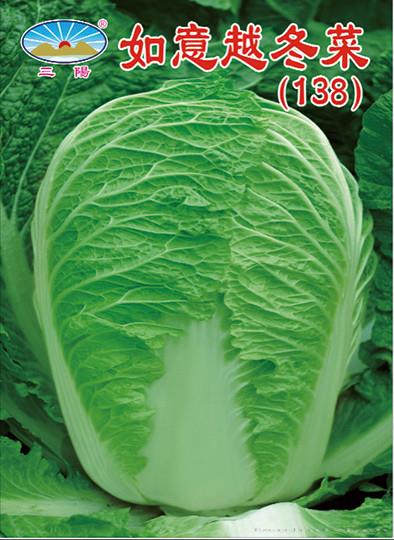 如意越冬菜