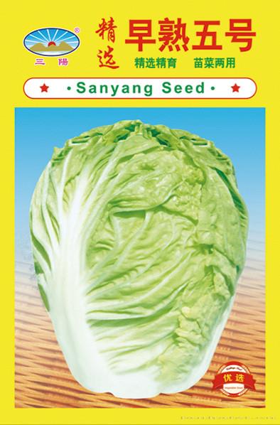 精选早熟五号