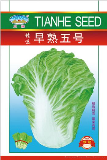 早熟五号