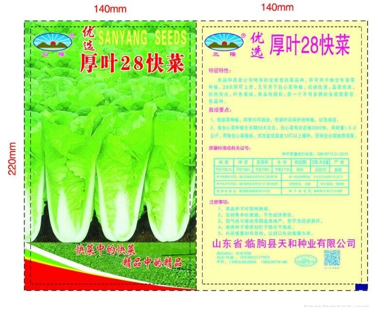 厚叶28快菜