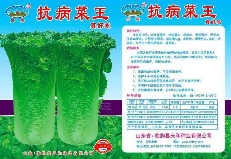 抗病菜王