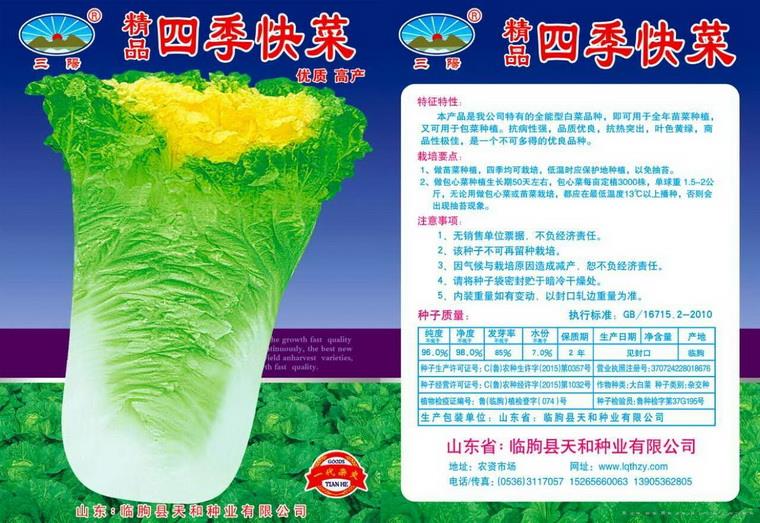 精品四季快菜