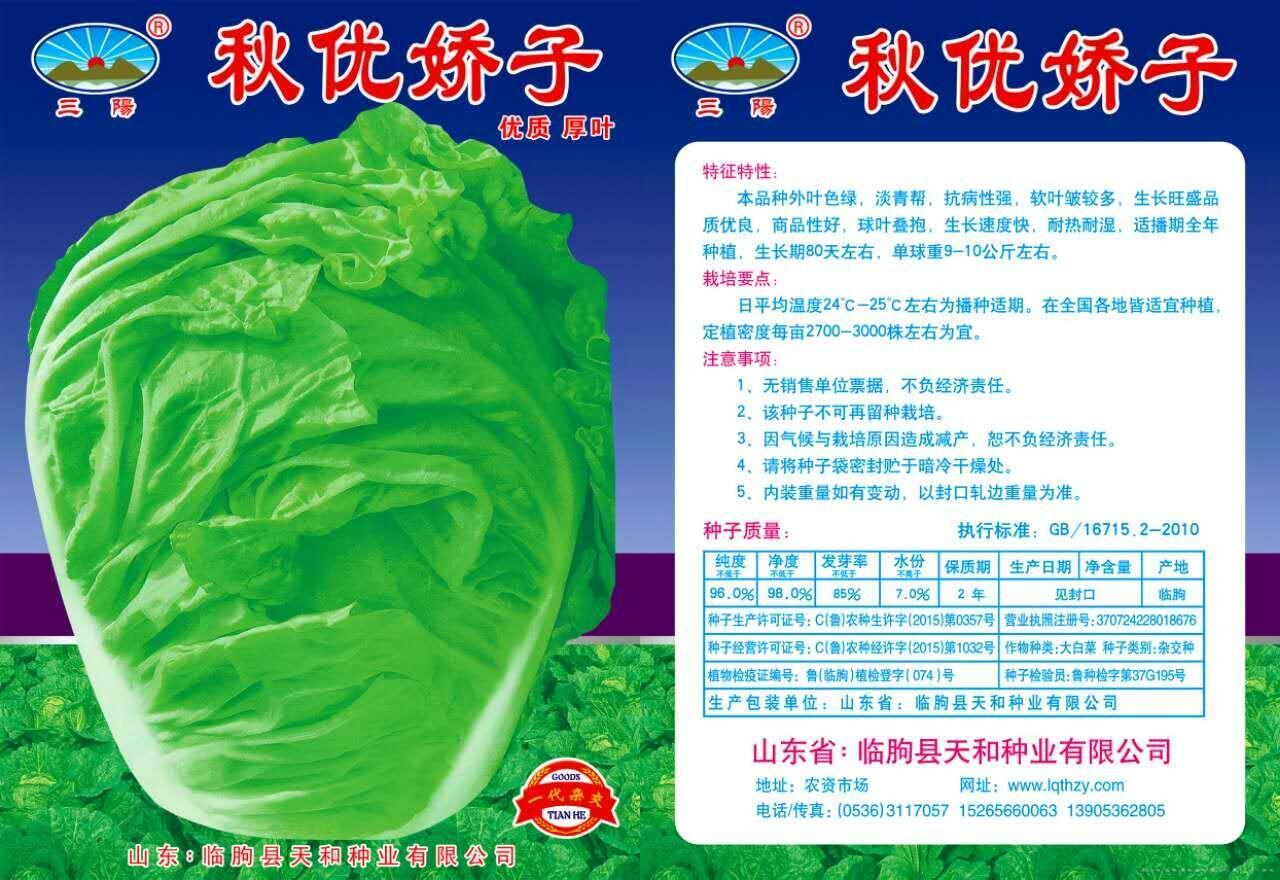 秋优娇子