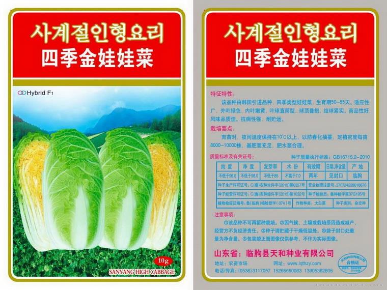 四季金娃娃菜