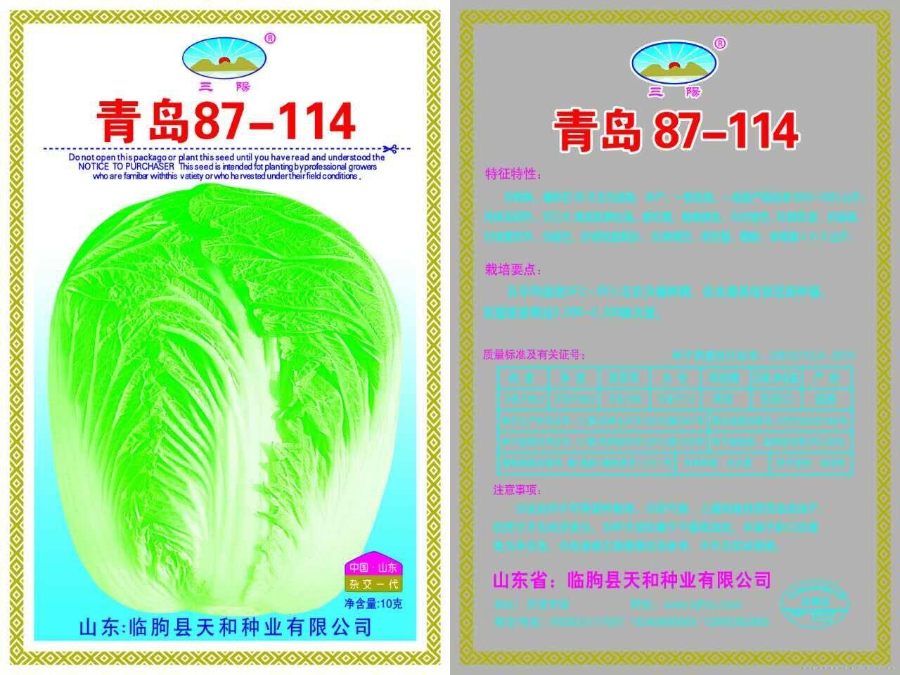 盛夏50