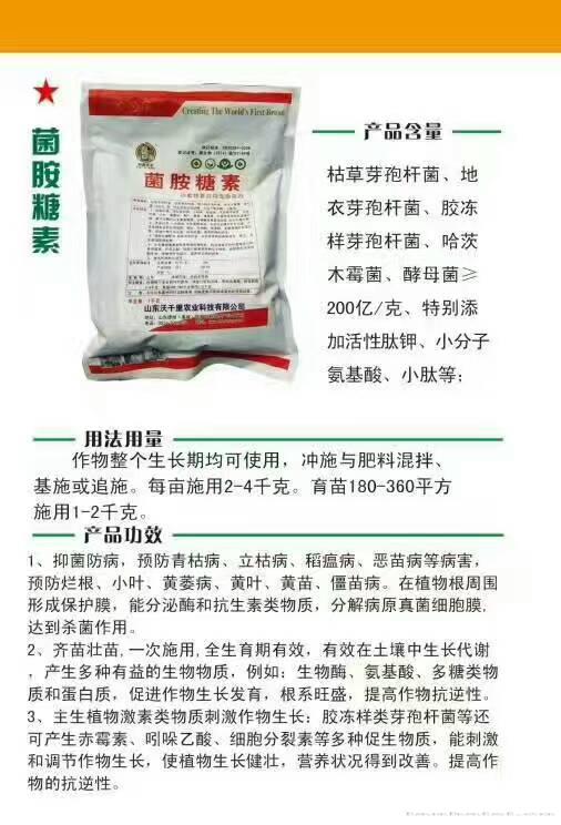  山东沃千里菌胺糖素原菌种活性更强效果更好