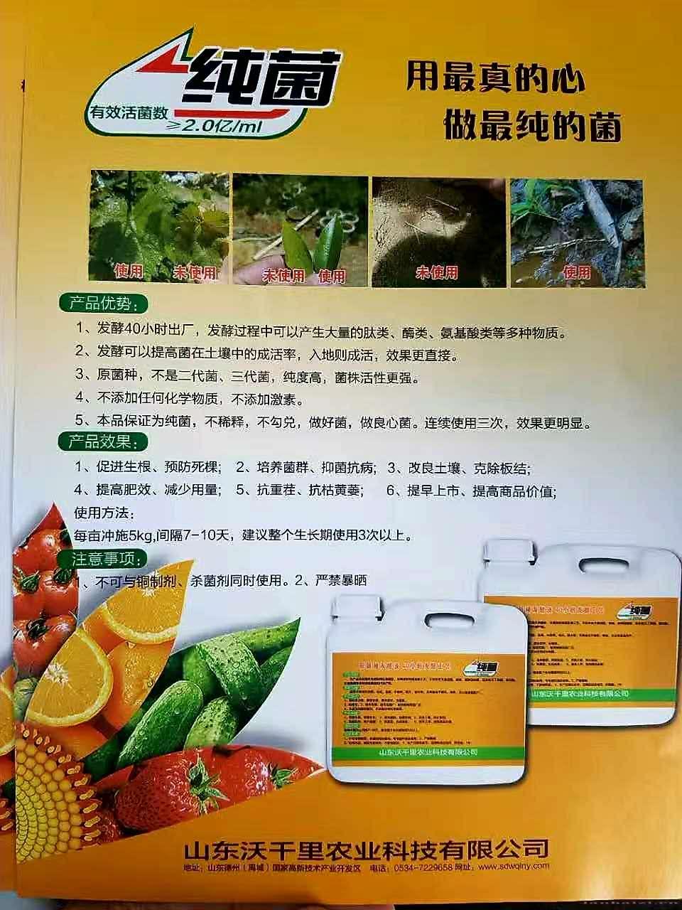 山东沃千里碳酶系列纯菌液原菌种发酵活性更强效果更好