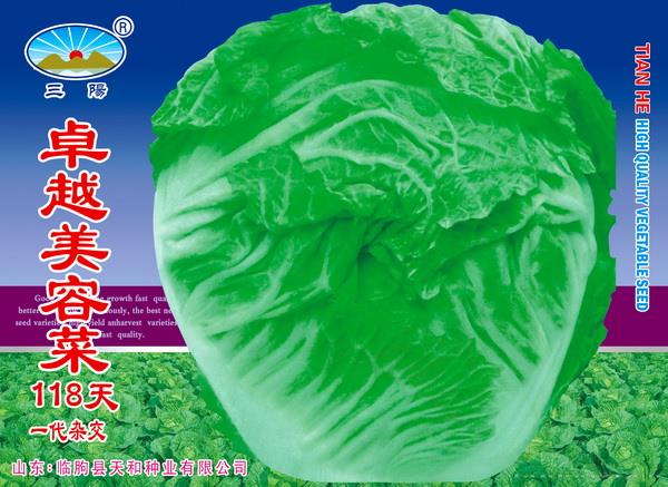 卓越美容菜