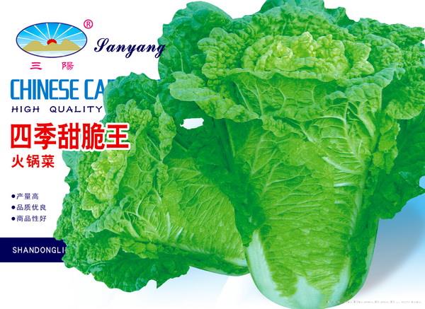 四季甜脆王