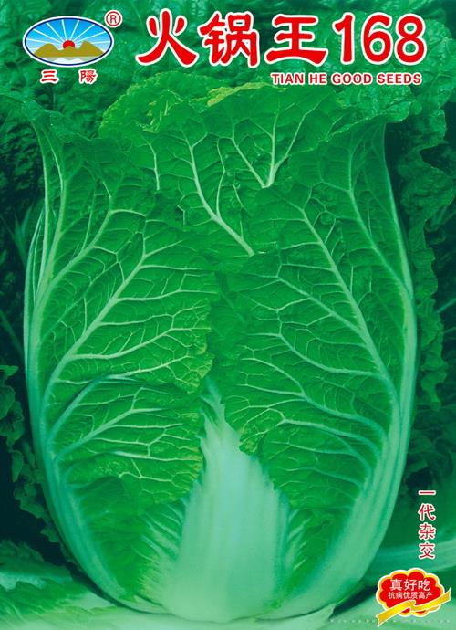 火锅王168天