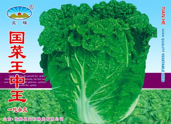 国菜王中王