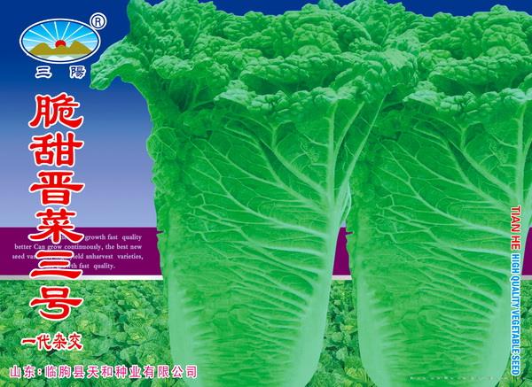 脆甜晋菜三号