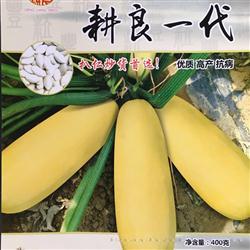 耕良一代