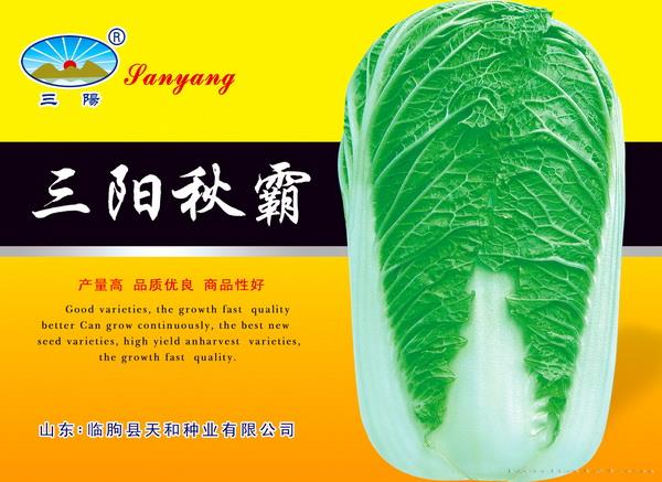三阳秋霸