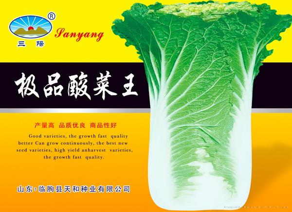极品酸菜王