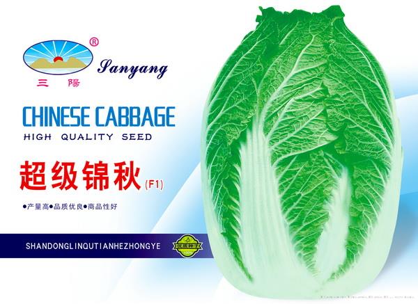 超级锦秋