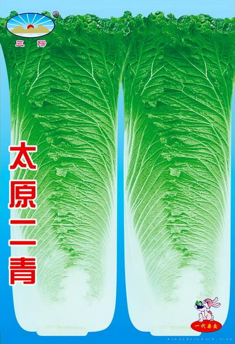 太原二青
