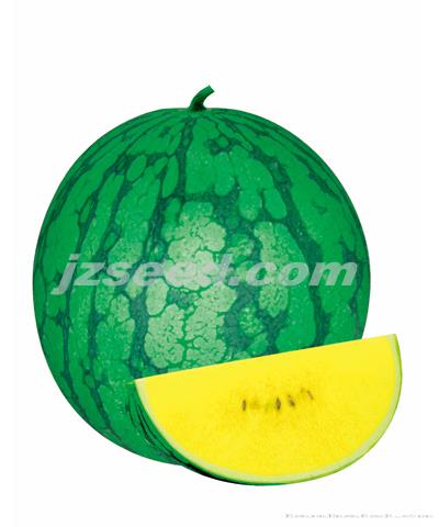 澳优金丽