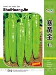 赛黄金——尖椒类