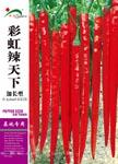 彩虹辣天下 ——线椒类