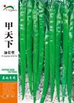 甲天下 ——线椒类