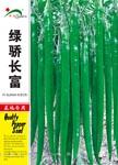 绿骄长富 ——线椒类