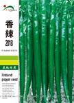 香辣2018 ——线椒类
