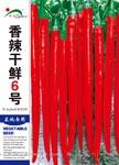 香辣干鲜6号 ——线椒类