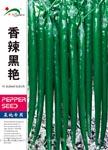 香辣黑艳 ——线椒类