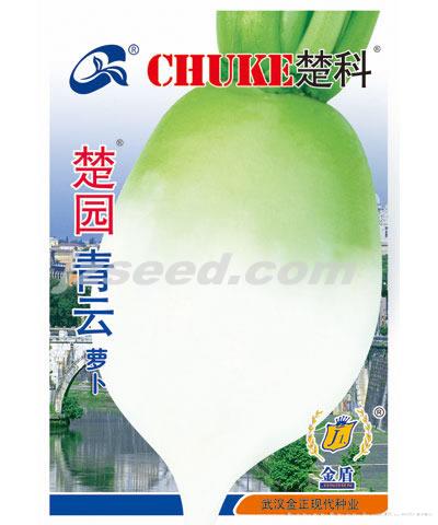 楚园青云萝卜