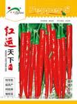 红运天下——线椒类