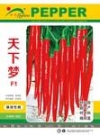 天下梦——线椒类
