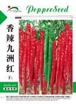 香辣九洲红——线椒类