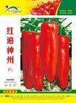 红遍神州——泡椒类