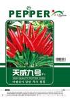 天威九号——朝天椒类
