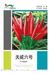天威六号——朝天椒类