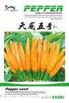天威五号——朝天椒类