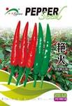艳火——朝天椒类