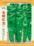 金螺巨龙——螺丝椒类