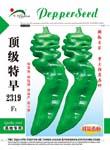 顶级特早2319——螺丝椒类