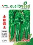 金螺霸王——螺丝椒类