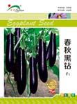 春秋黑钻——茄果类