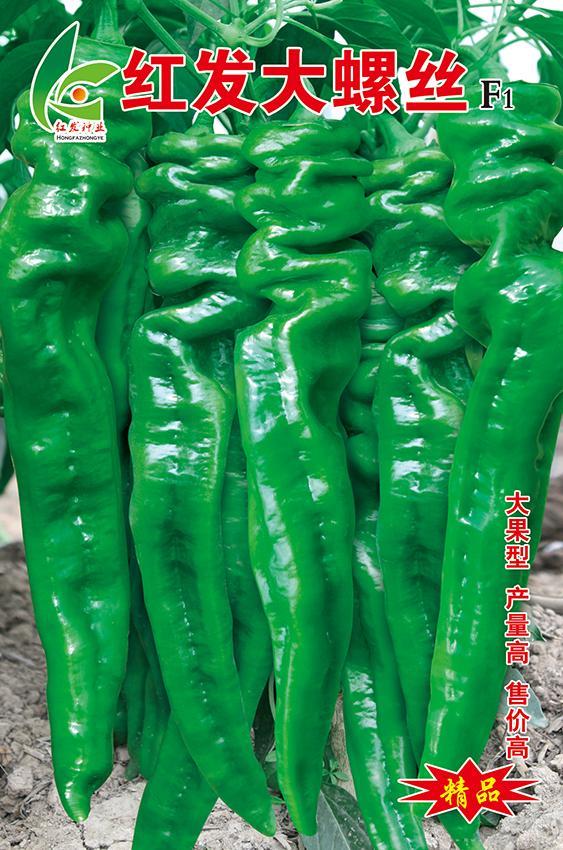 红发大螺丝