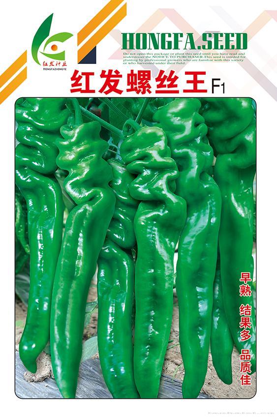红发螺丝王