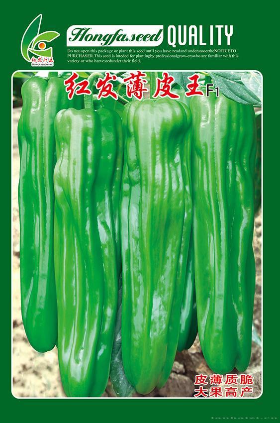 红发薄皮王