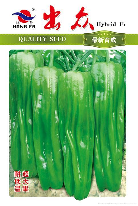 出众