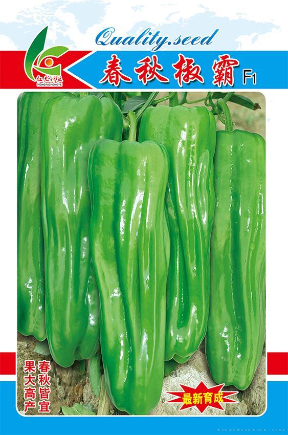 春秋椒霸大
