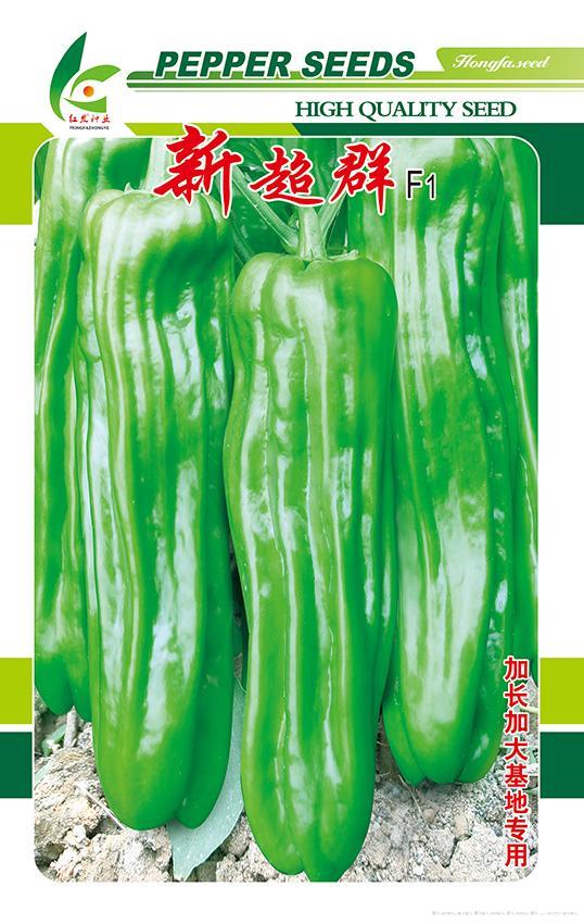 新超群