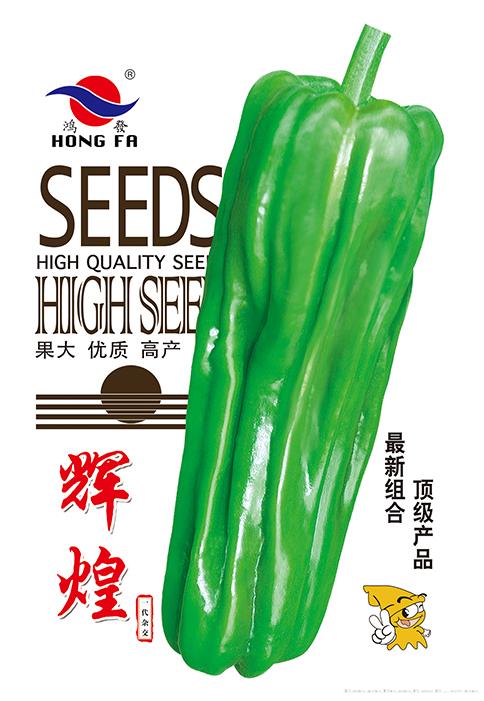 辉煌