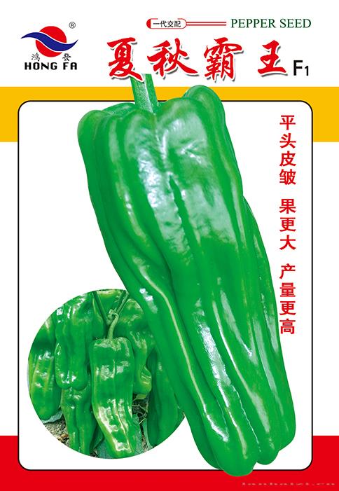 夏秋霸王
